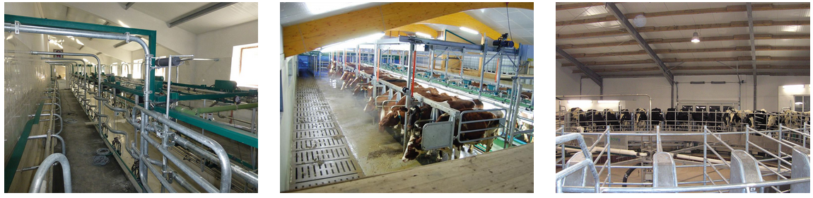 Доильные залы