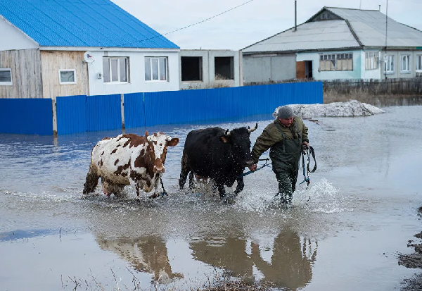 Источник фото: agrosektor.kz