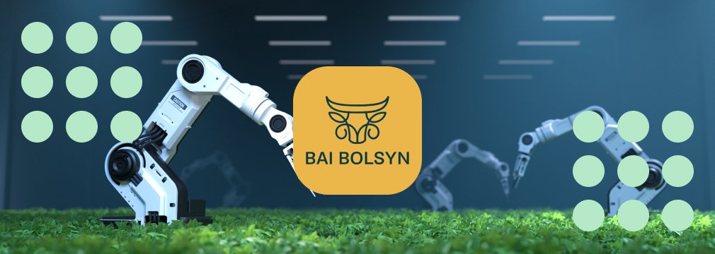 ТОО BAIBOLSYN