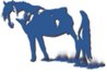 Республиканская палата местных пород лошадей мясного и молочного направления продуктивности