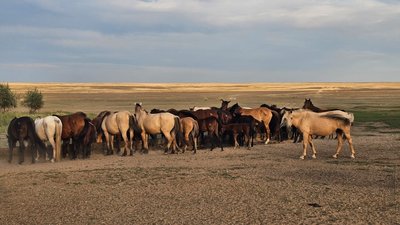 Барлық порно шоуларды қараңыз