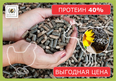 Подсолнечный шрот (Протеин min 40%) с доставкой по всем городам РК