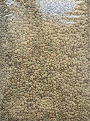 Продаю зеленую чечевицу (тарелочная)