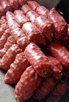 Картофель (сорт Гала)