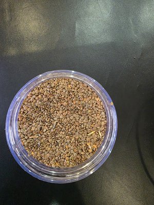 Продам красную чечевицу