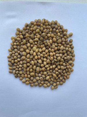 Продаем сою