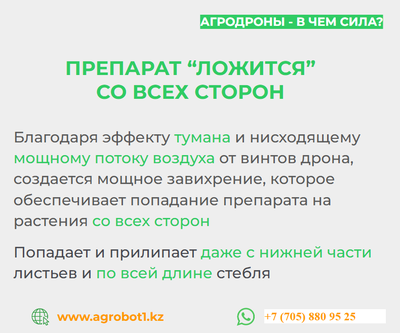 Десикация. Удобрение. Инсектицид. Гербицид