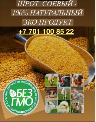Продаем Соевый шрот