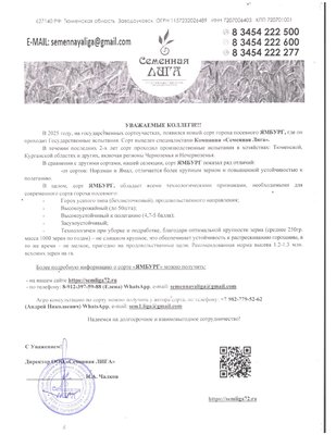 Продаём семена пшеницы гороха овса ячменя