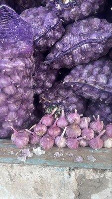 Продаю чеснок собственного урожая
