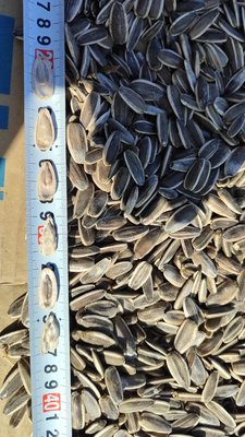 Подсолнечник