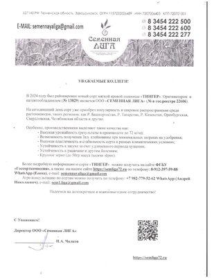 Продаём семена пшеницы гороха овса ячменя