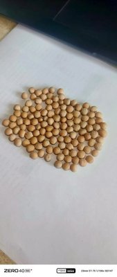 Горох кормовой