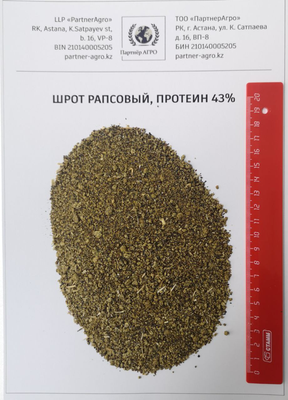 Шрот рапсовый (АСВ - 40%) во всех городах РК в наличии
