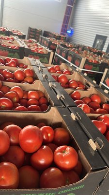 Продаем помидоры в Астрахани