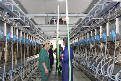 Оснащение молочно-товарных ферм. Официальные дилеры Afimilk в Казахстане. Проекты под ключ с технологическим сопровождением и обучением персонала