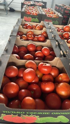 Продаем помидоры в Астрахани