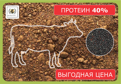 Шрот рапсовый (АСВ - 40%) во всех городах РК в наличии