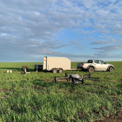 Десикация. Удобрение. Инсектицид. Гербицид