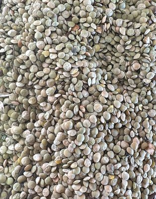 зеленая чечевица